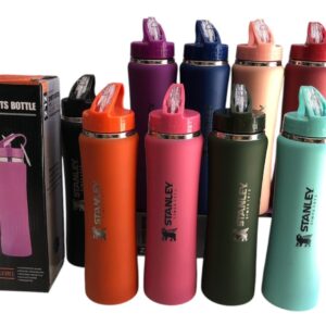 Botella Térmica Stanley (600ml)